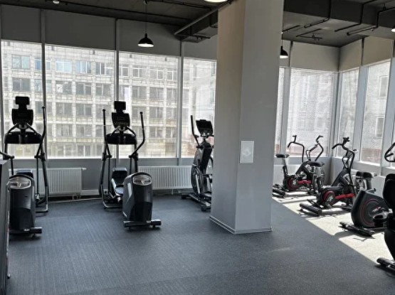 Элкус - Изображение 7