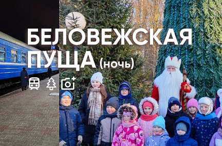 Экскурсия в Беловежскую пущу в гости к Деду Морозу НА ПОЕЗДЕ! (ночной, 1 день)