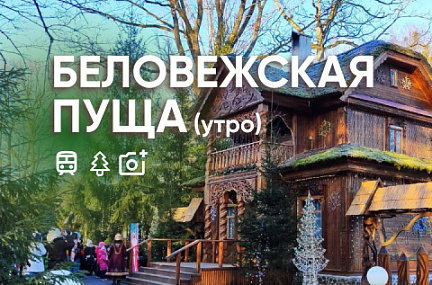 Экскурсия в Беловежскую пущу в гости к Деду Морозу НА ПОЕЗДЕ! (утренний, 1 день)